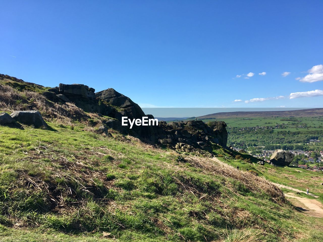 Scenic view of field against clear blue sky