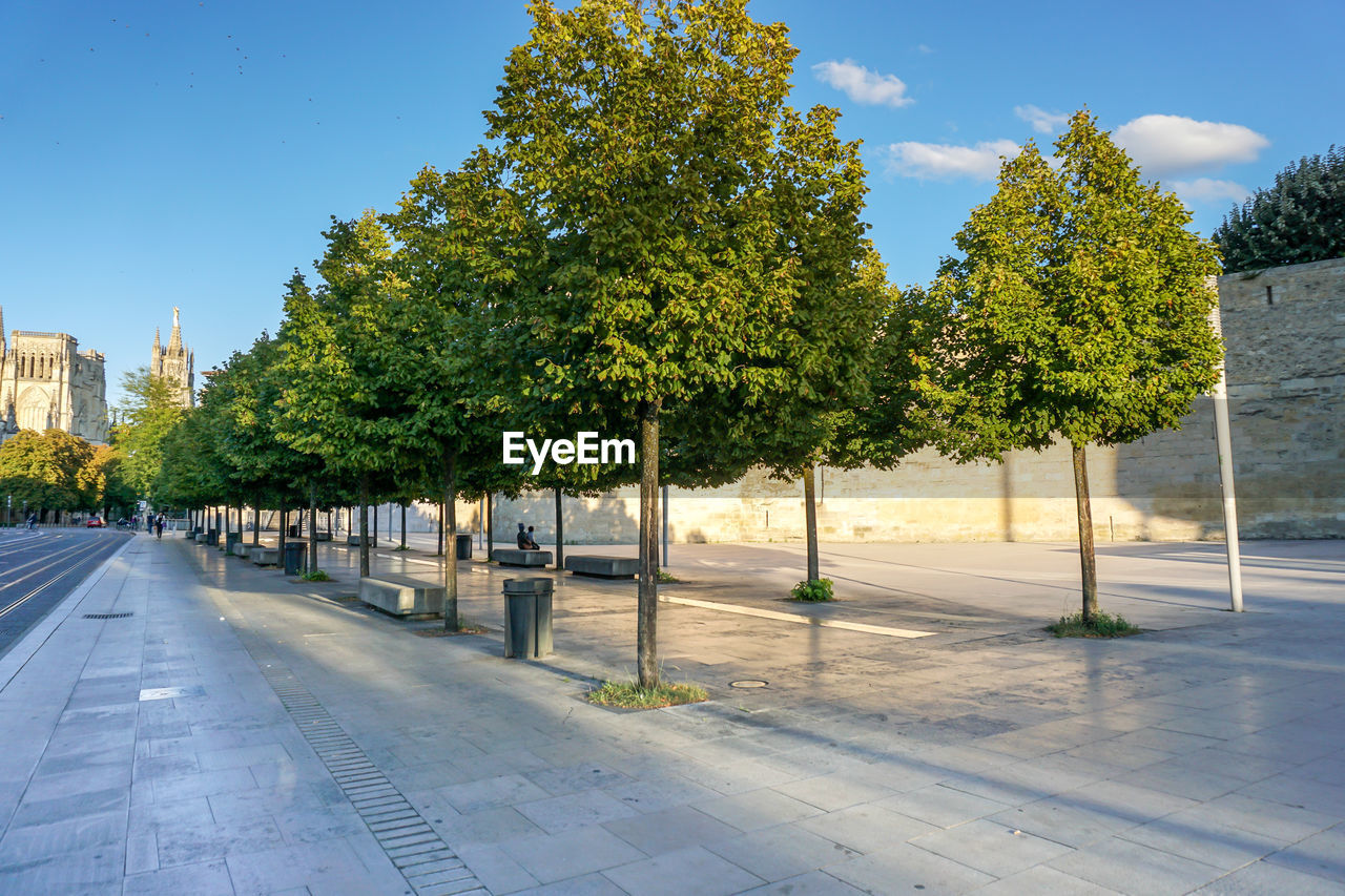 A romantic alley with two rows of trees and a long and narrow aluminum path 