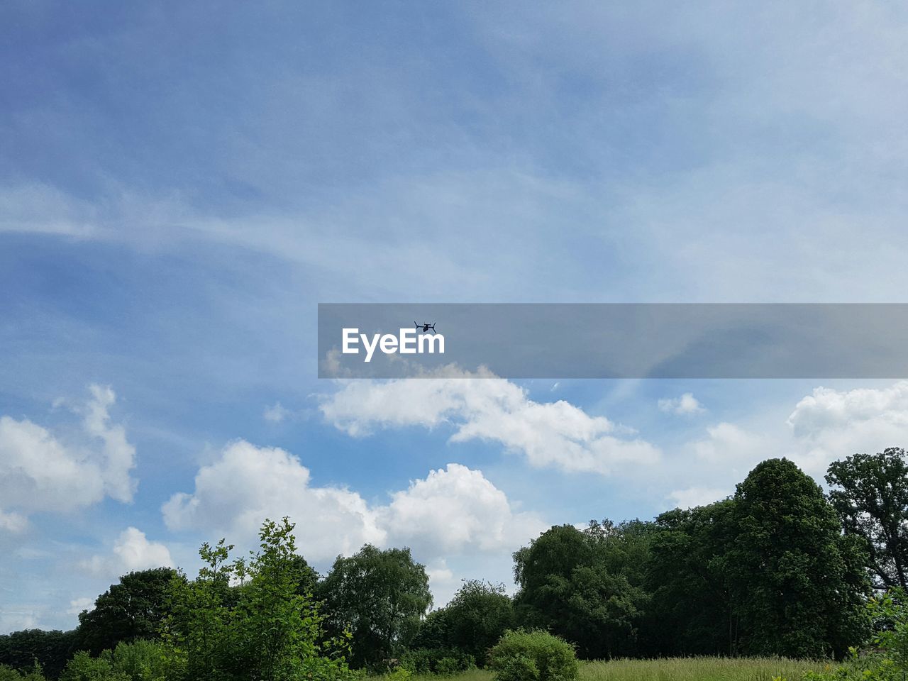 Low angle view of trees against cloudy sky