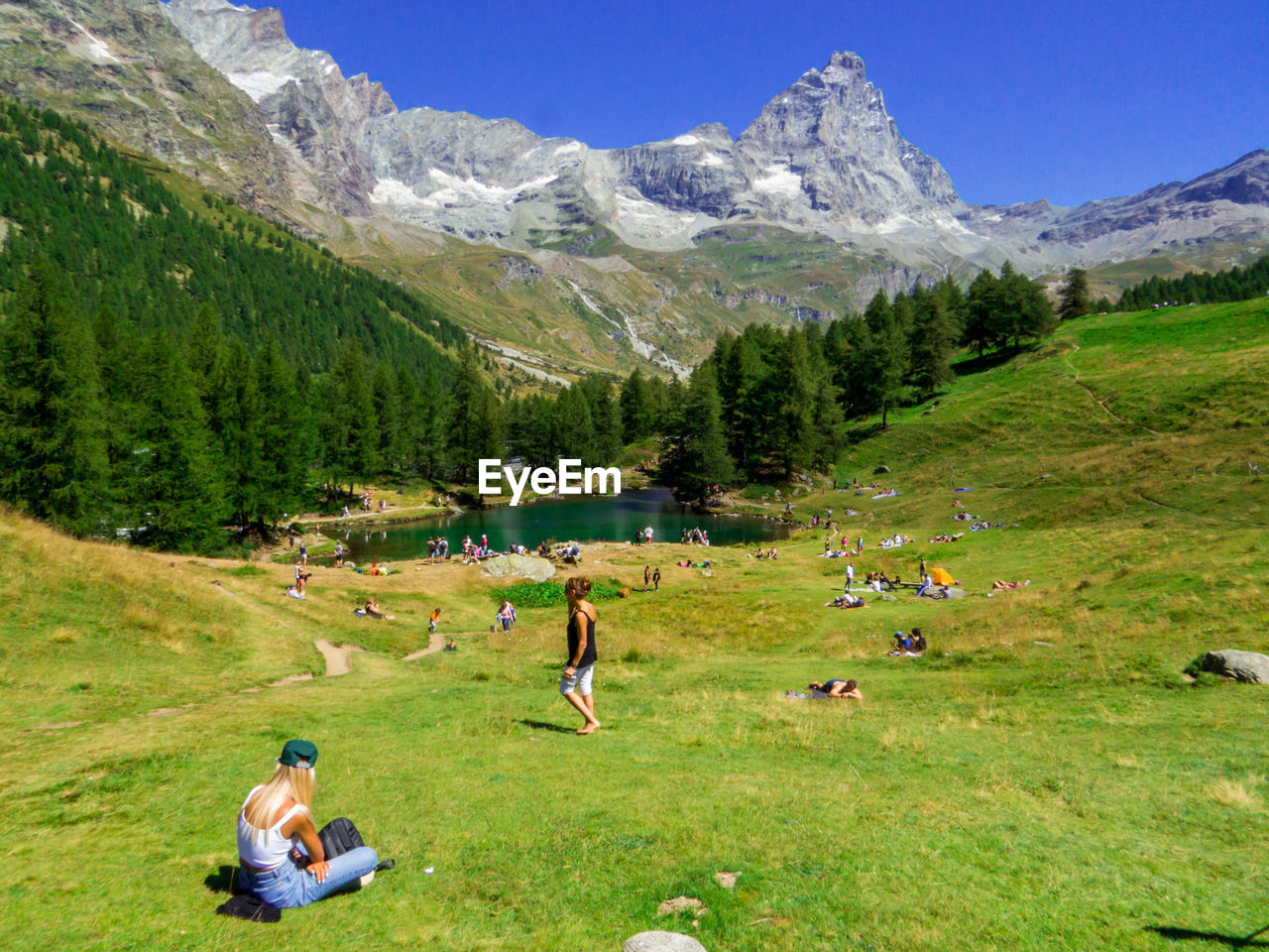 people walking on grassy field