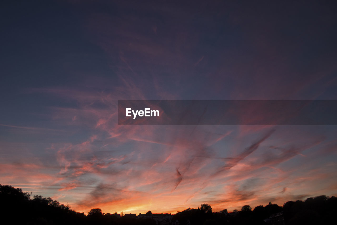 Low angle view of silhouette trees against sky during sunset