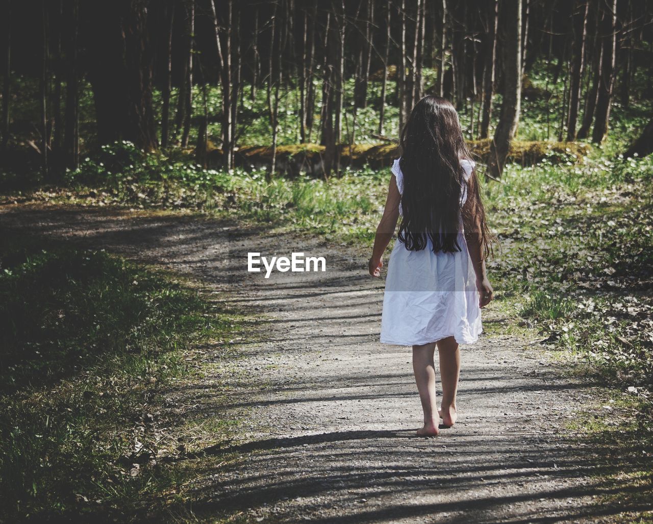 Rear view of girl walking on footpath in forest