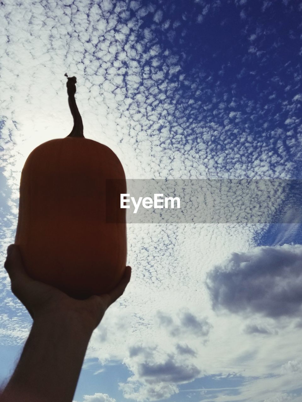 SILHOUETTE OF MAN HOLDING CAMERA AGAINST SKY