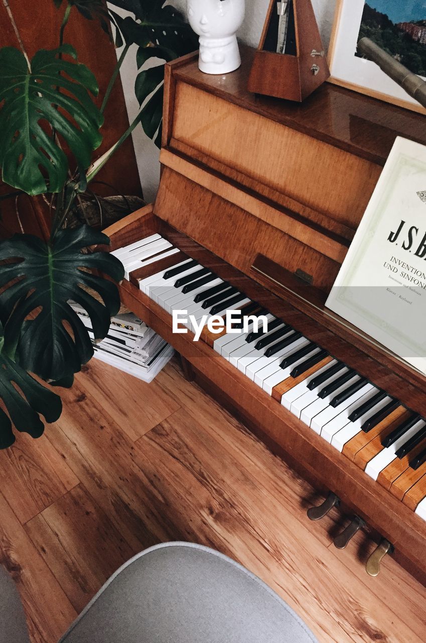 Piano and monstera plant