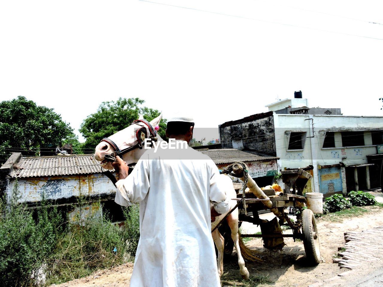 Man with horse cart