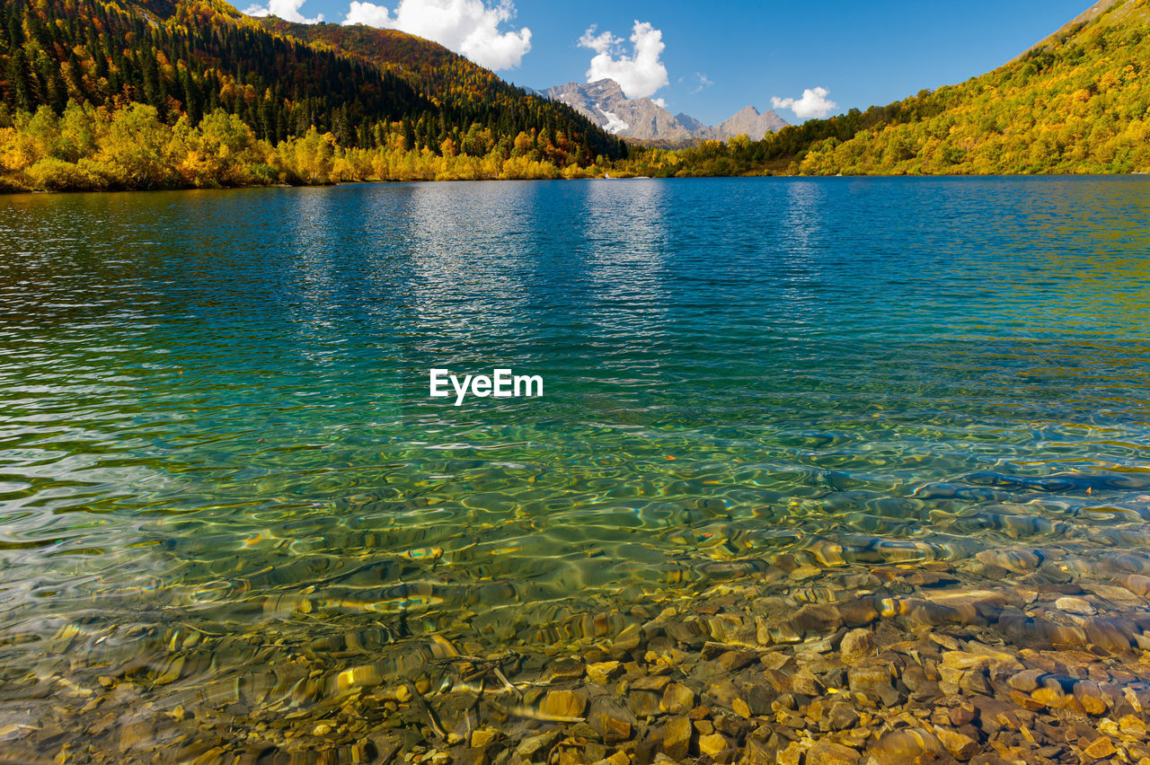 water, mountain, scenics - nature, beauty in nature, nature, reflection, lake, body of water, sky, environment, landscape, land, wilderness, tranquility, tranquil scene, mountain range, forest, tree, no people, autumn, travel destinations, plant, travel, cloud, idyllic, day, blue, outdoors, non-urban scene, coniferous tree, sunlight, pine tree, summer, tourism, pine woodland, shore, leaf, reservoir, mountain peak, pinaceae, vacation, trip, holiday