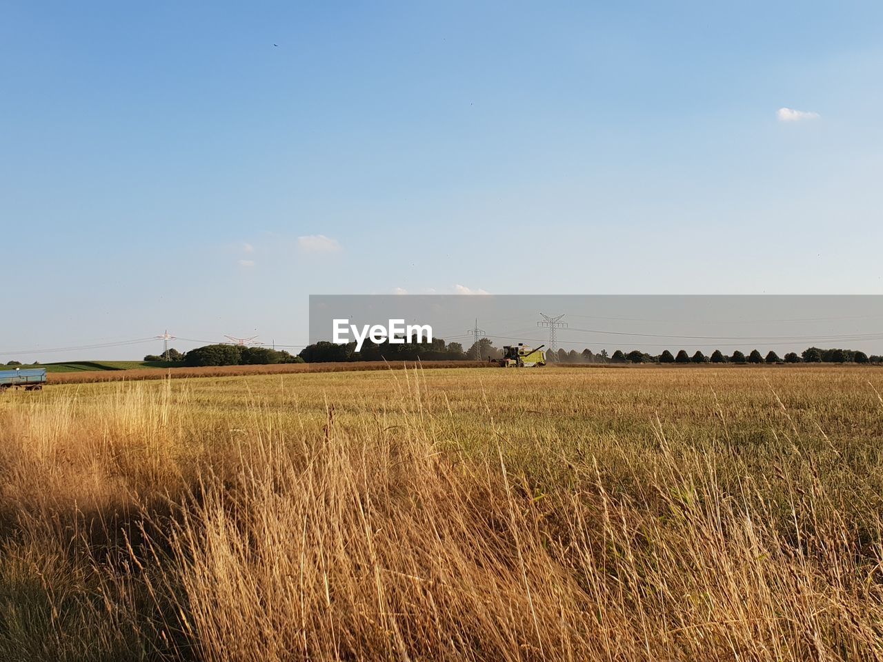 FIELD AGAINST SKY