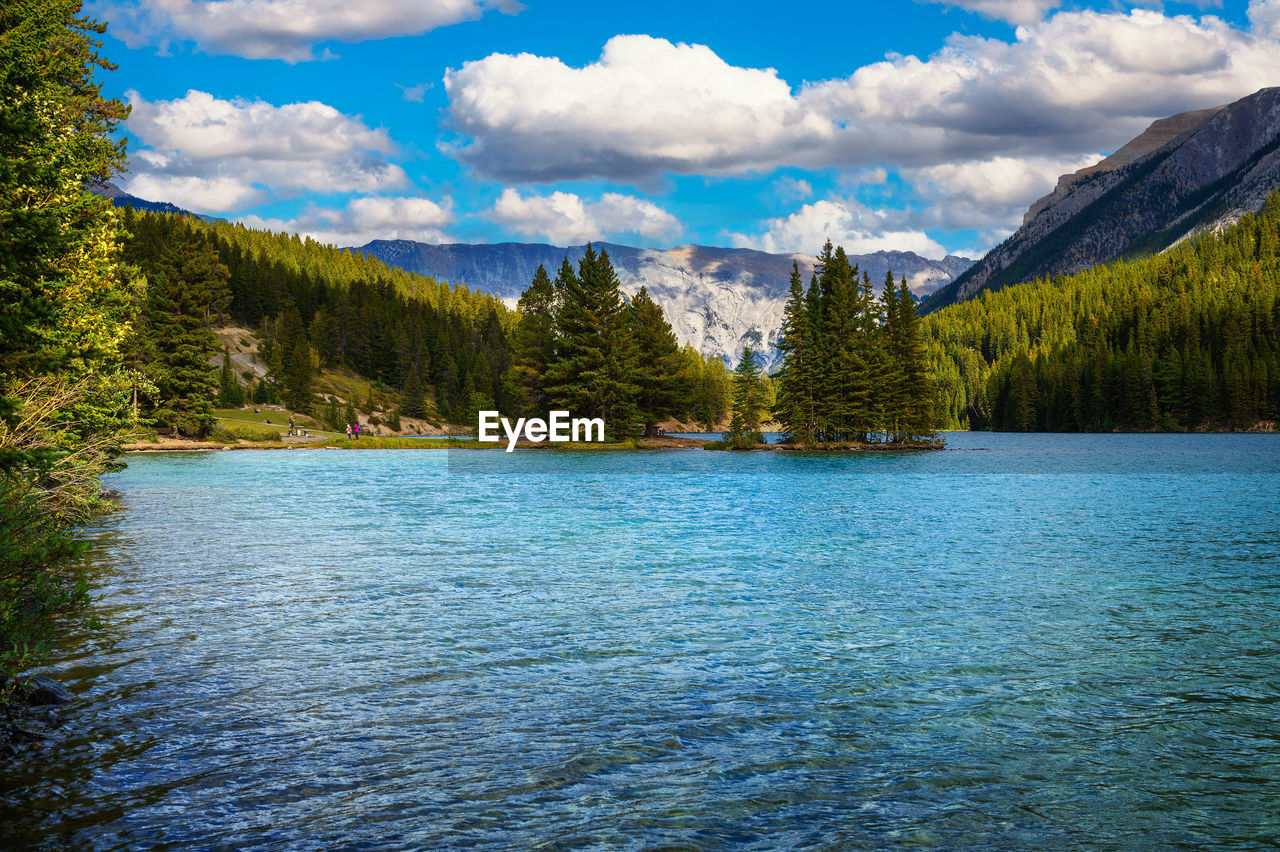 scenic view of lake in forest against sky