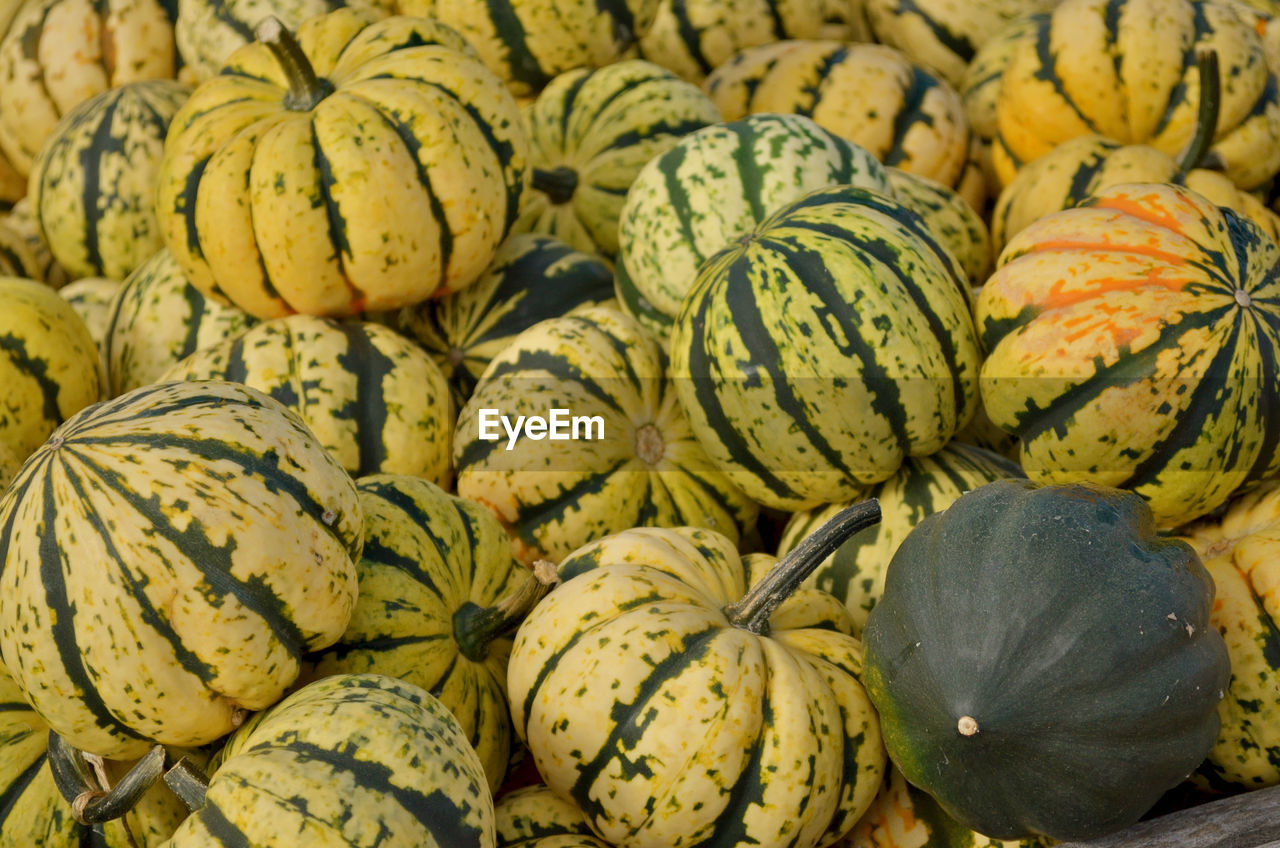 Full frame shot of pumpkins in market