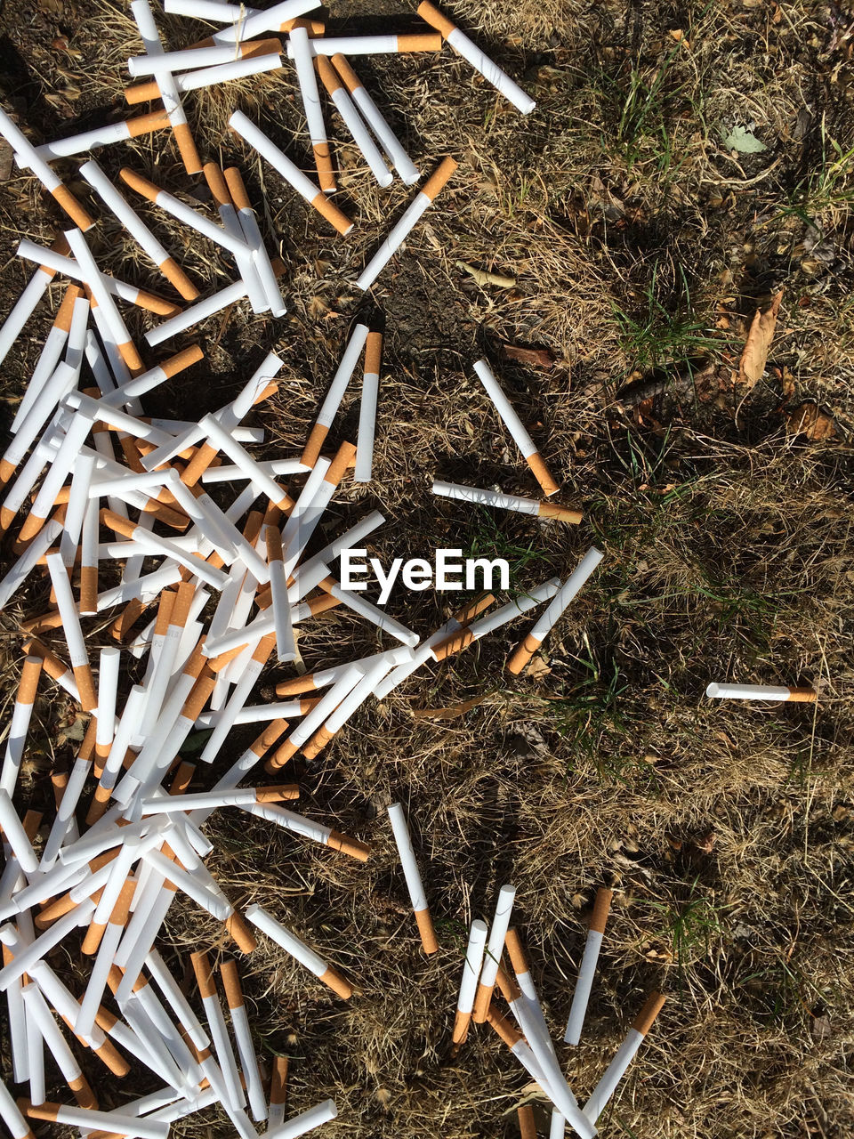 Directly above shot of cigarettes on field