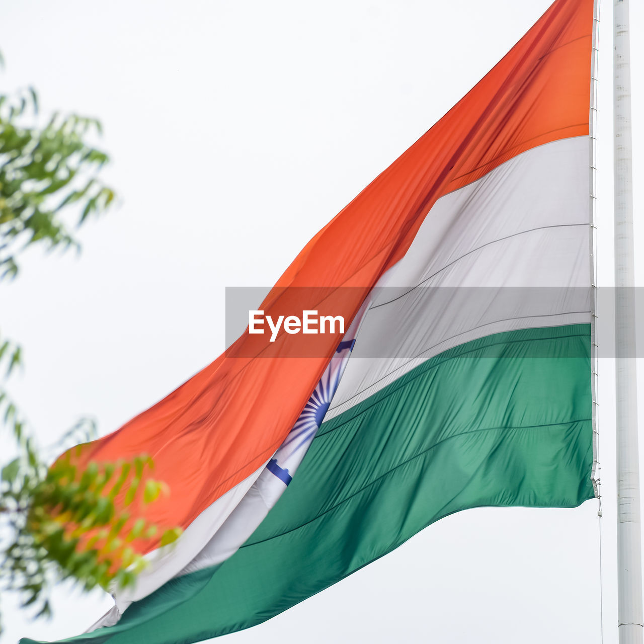 flag, wind, environment, nature, patriotism, no people, green, textile, multi colored, low angle view, red, sky, outdoors, day, tree, leaf, plant, symbol