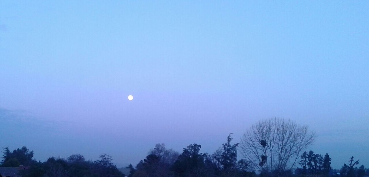 SCENIC VIEW OF MOON AGAINST CLEAR SKY