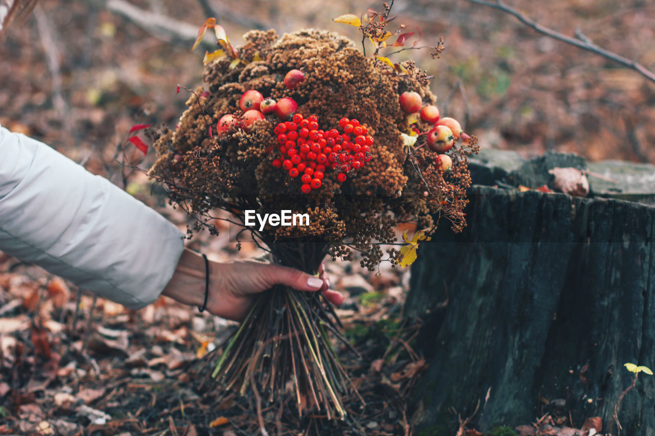 Cropped hand holding bouquet