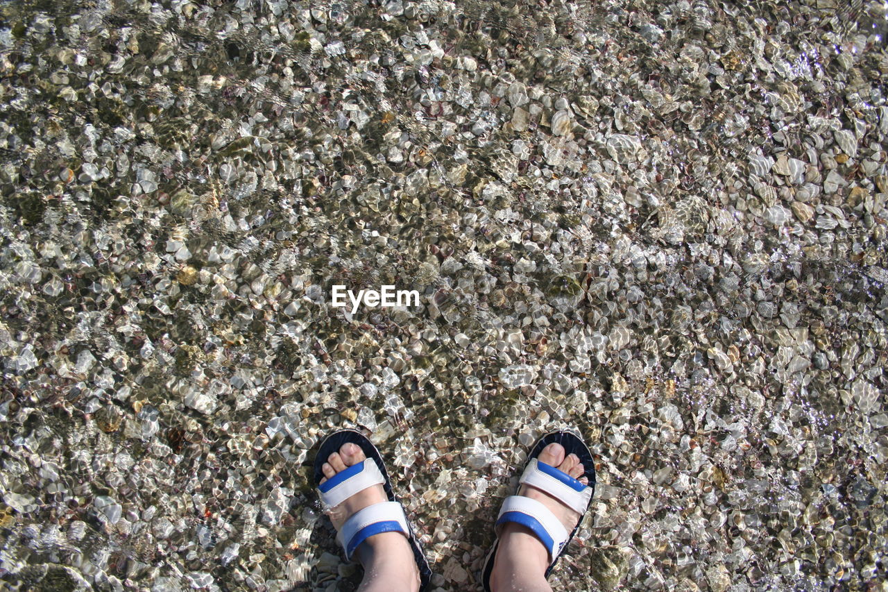 Low section of person standing on sand