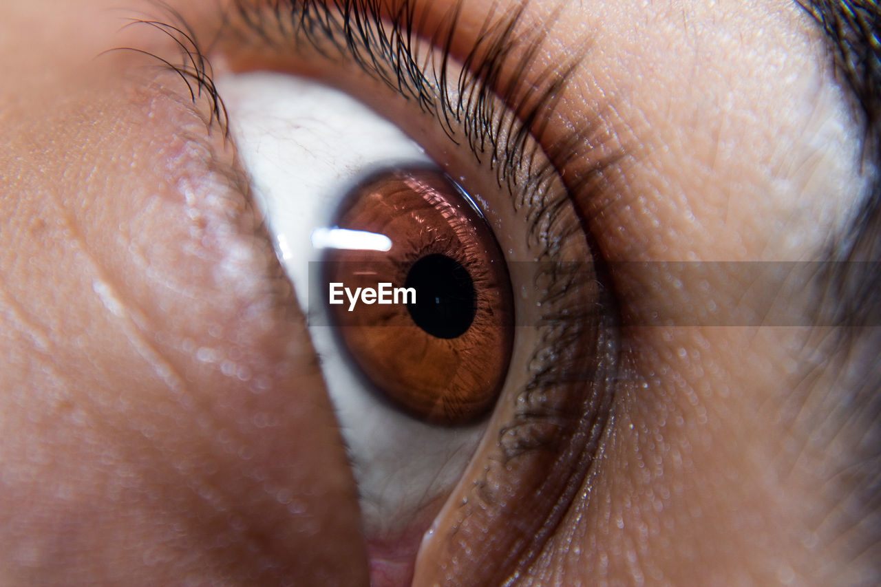 Close-up of human eye