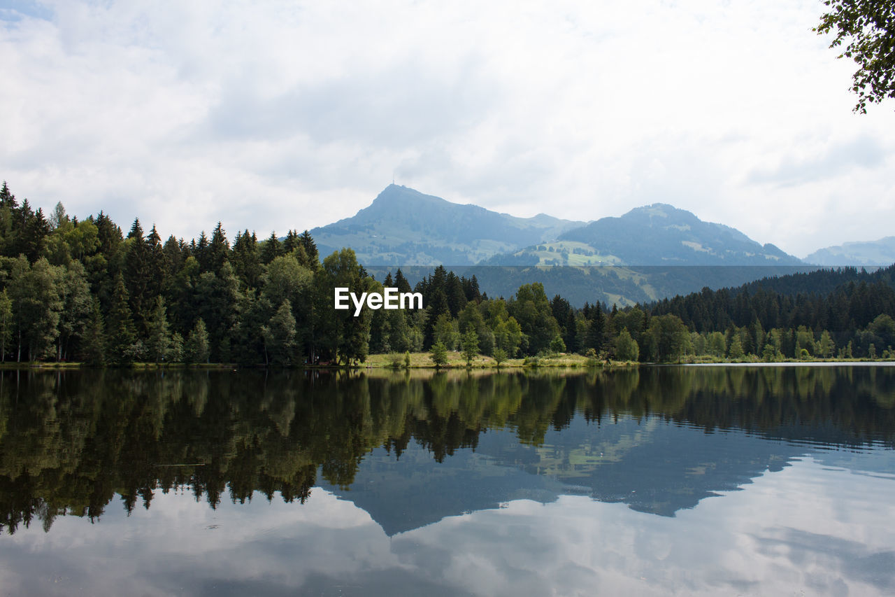 Reflection of trees in lake against cloudy sky