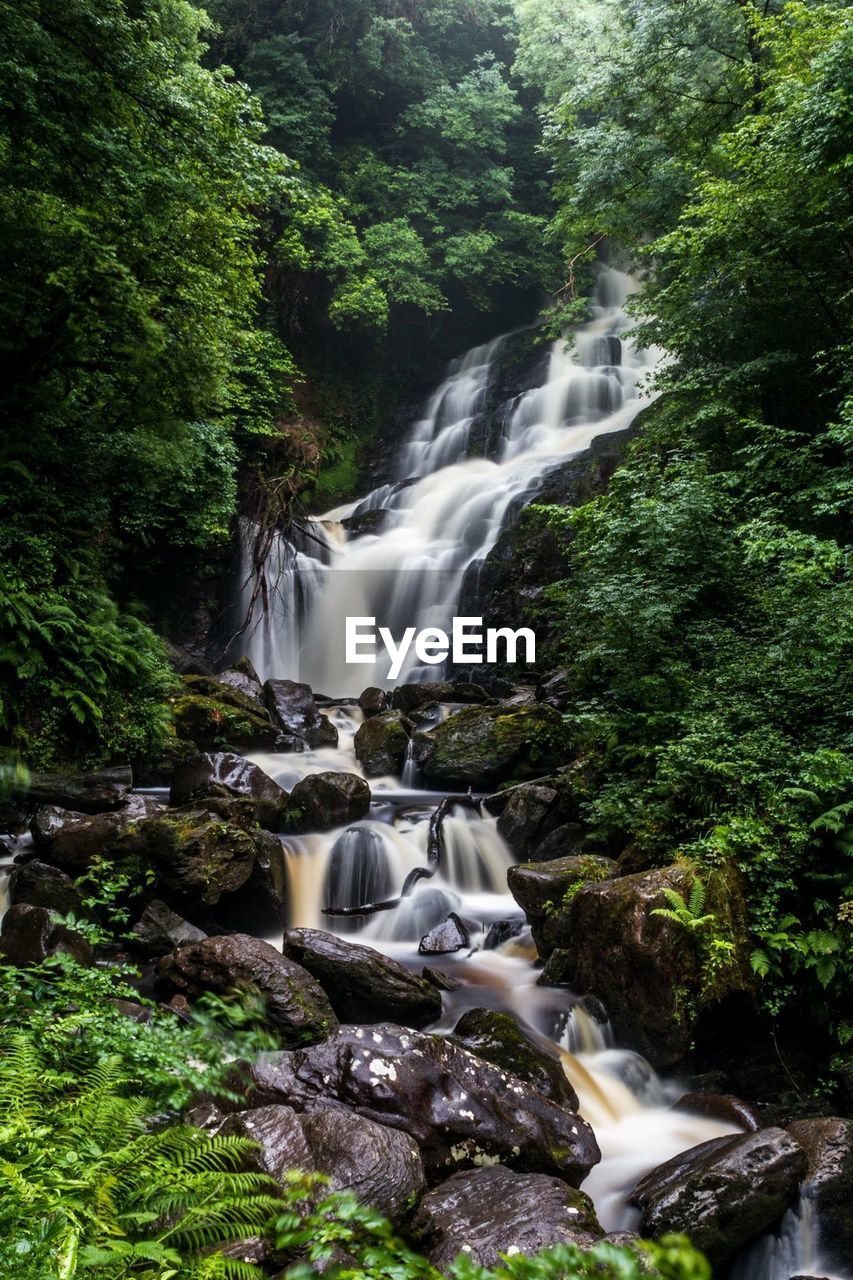 Torc waterfall in forest at killarney