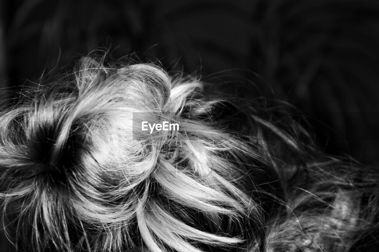 Close-up of woman hair 