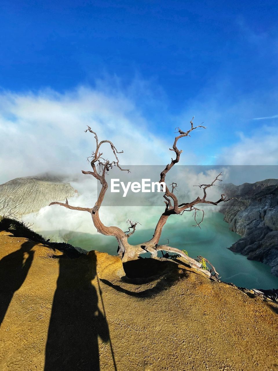 nature, sky, environment, landscape, cloud, scenics - nature, sea, beauty in nature, land, reflection, mountain, water, tree, no people, day, coast, travel destinations, sunlight, travel, plant, outdoors, blue, tranquility, non-urban scene, rock, tranquil scene, shadow, wilderness
