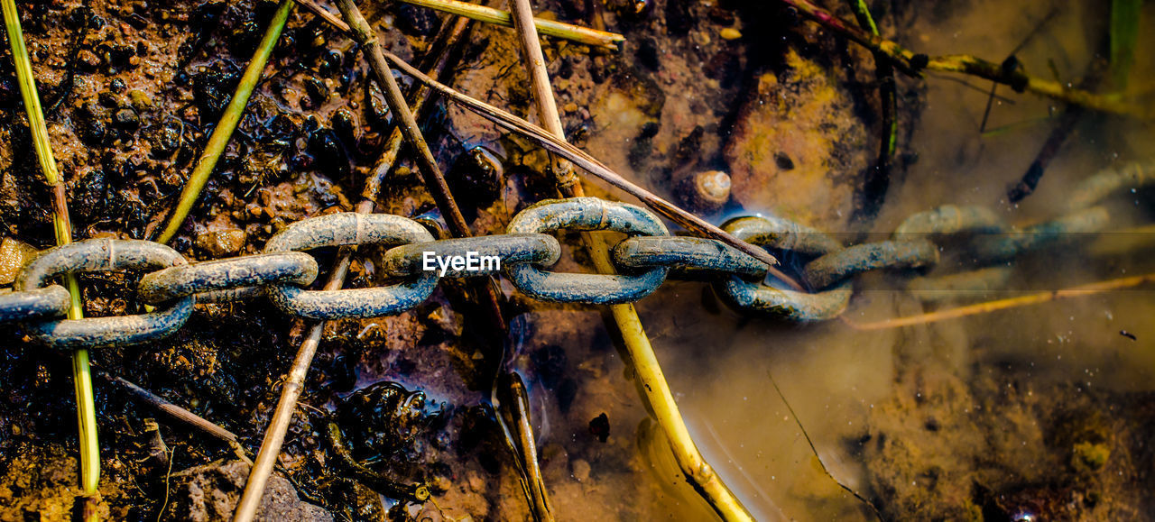 Close-up of rusty chain in water