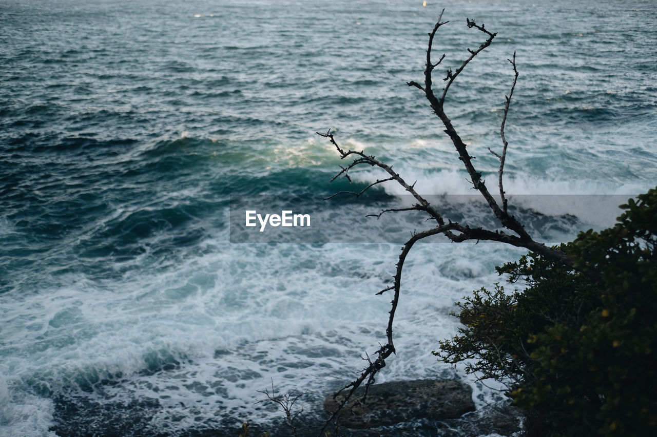 SCENIC VIEW OF SEA SHORE