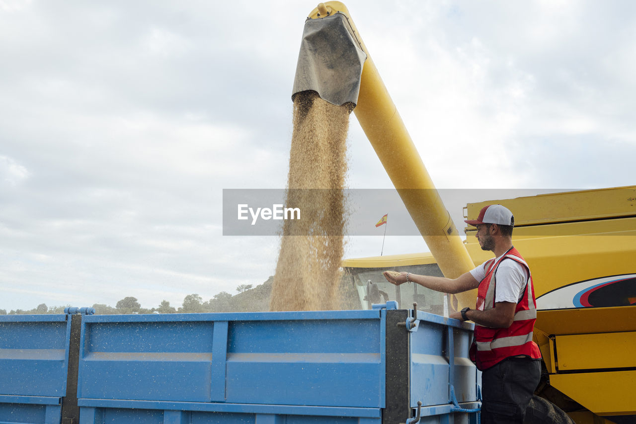 Side view of male farmer standing near industrial combine harvester unloading dried grains into trailer while working in agricultural plantation