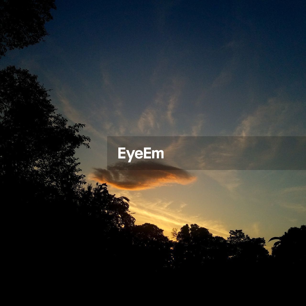 SILHOUETTE TREES AGAINST SKY DURING SUNSET