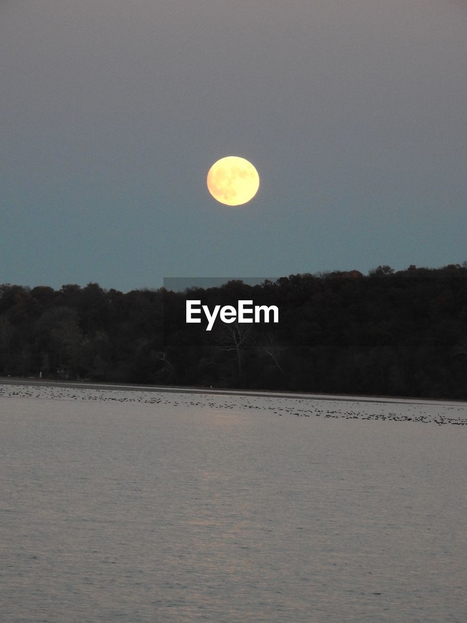 SCENIC VIEW OF MOON IN SKY OVER SEA