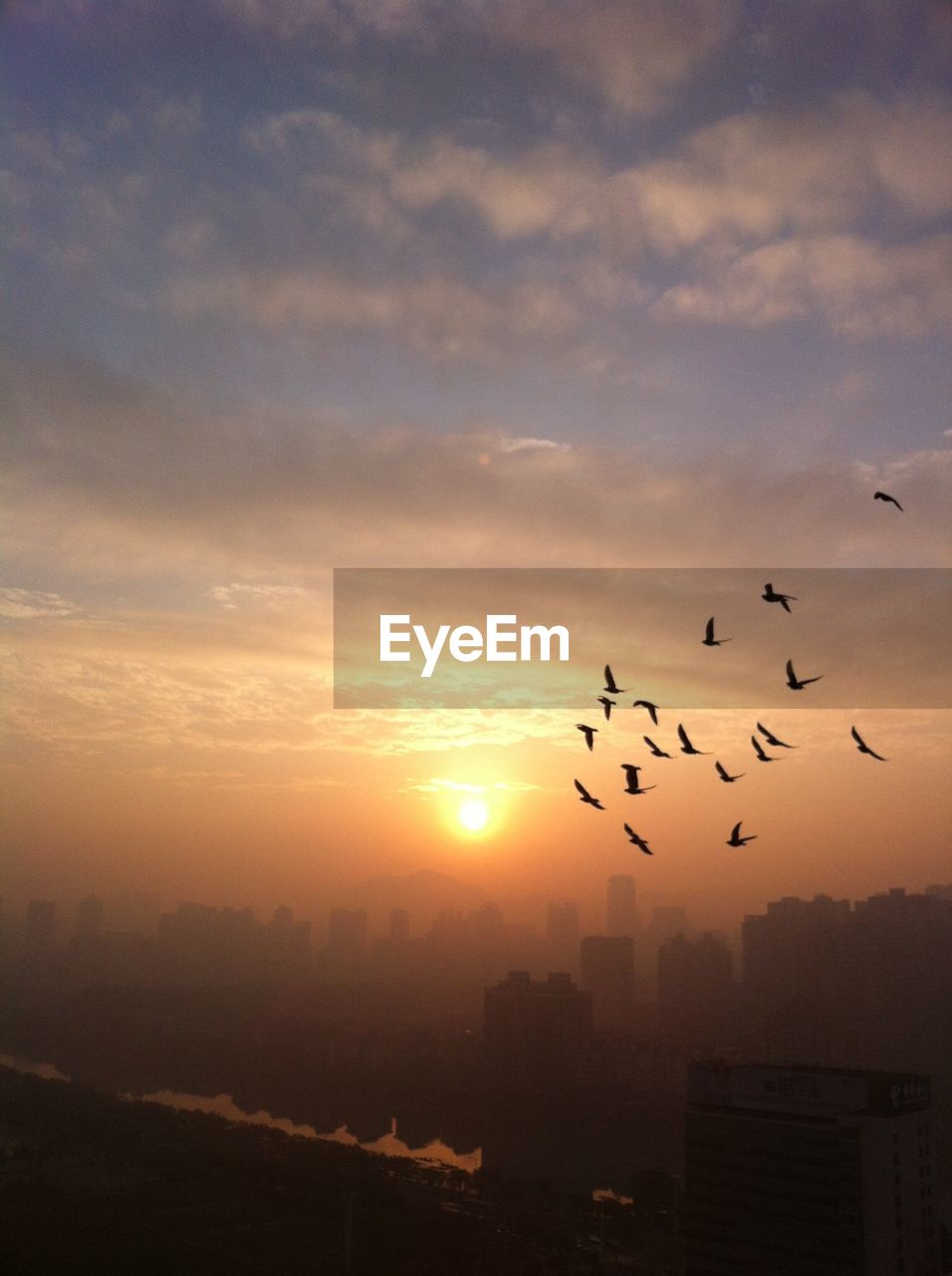 Flock of birds flying over cityscape against sky during sunrise