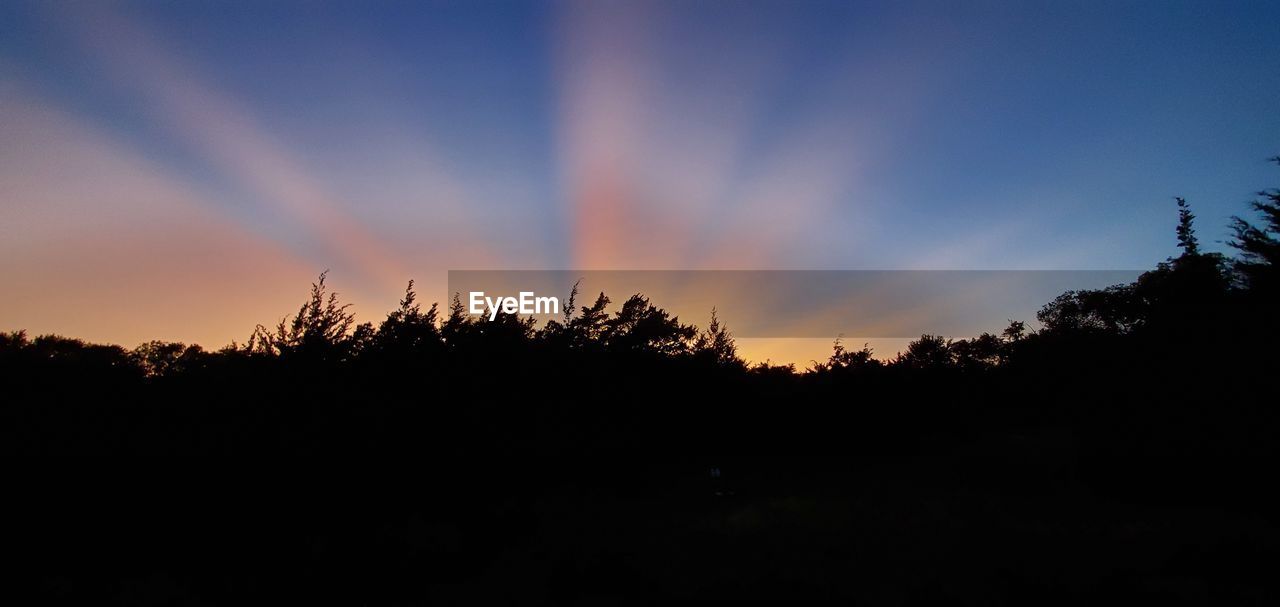 SCENIC VIEW OF SILHOUETTE TREES AGAINST SKY AT SUNSET