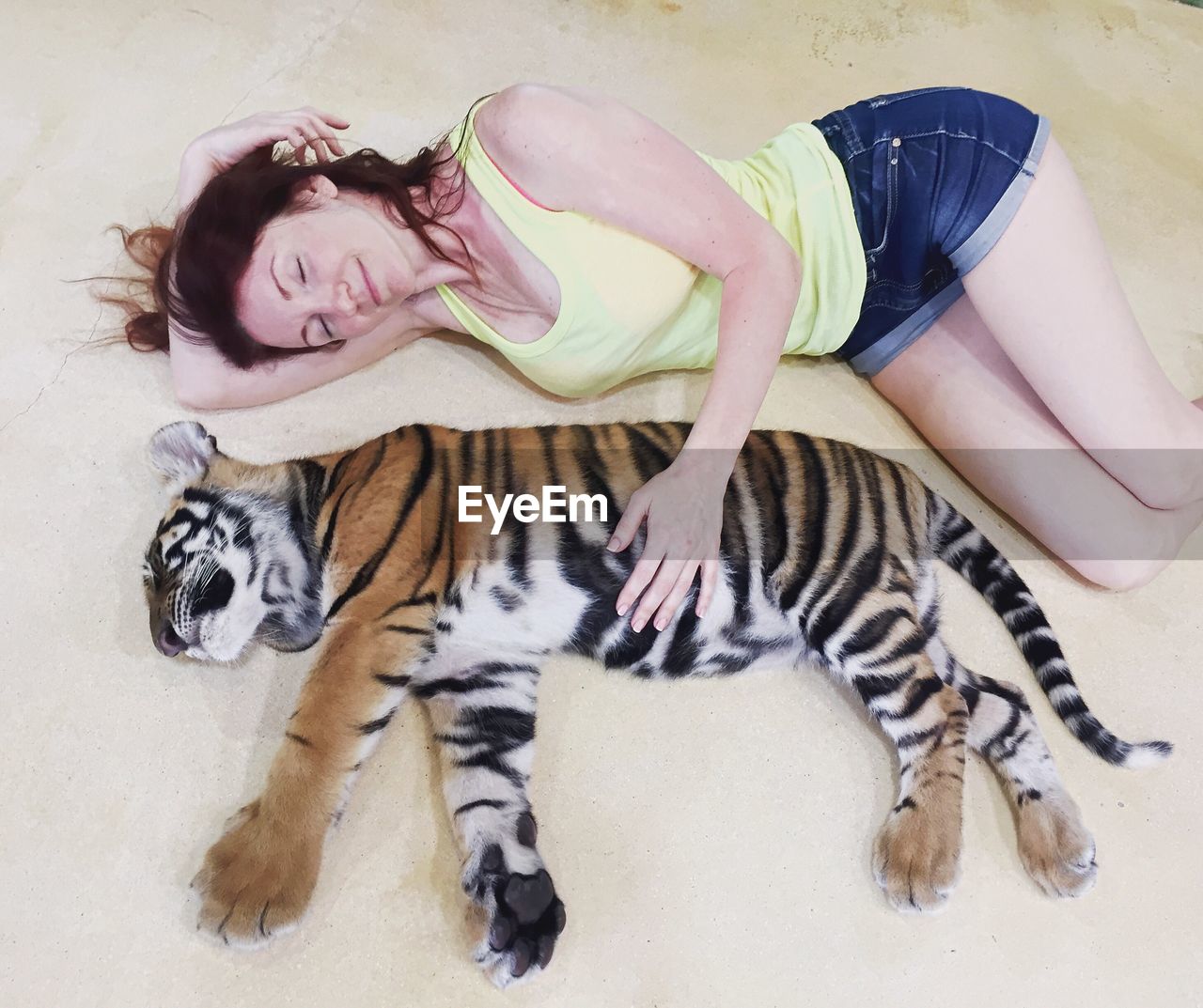 High angle view of young woman with tiger