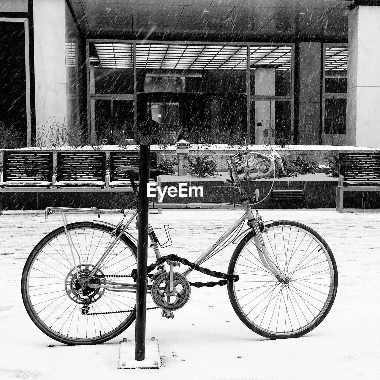 PARKED BICYCLES PARKED IN ROW