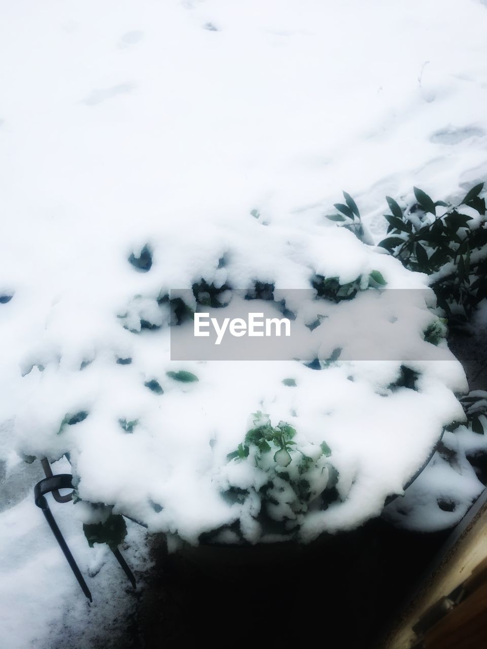 HIGH ANGLE VIEW OF SNOW COVERED TREE AGAINST SKY