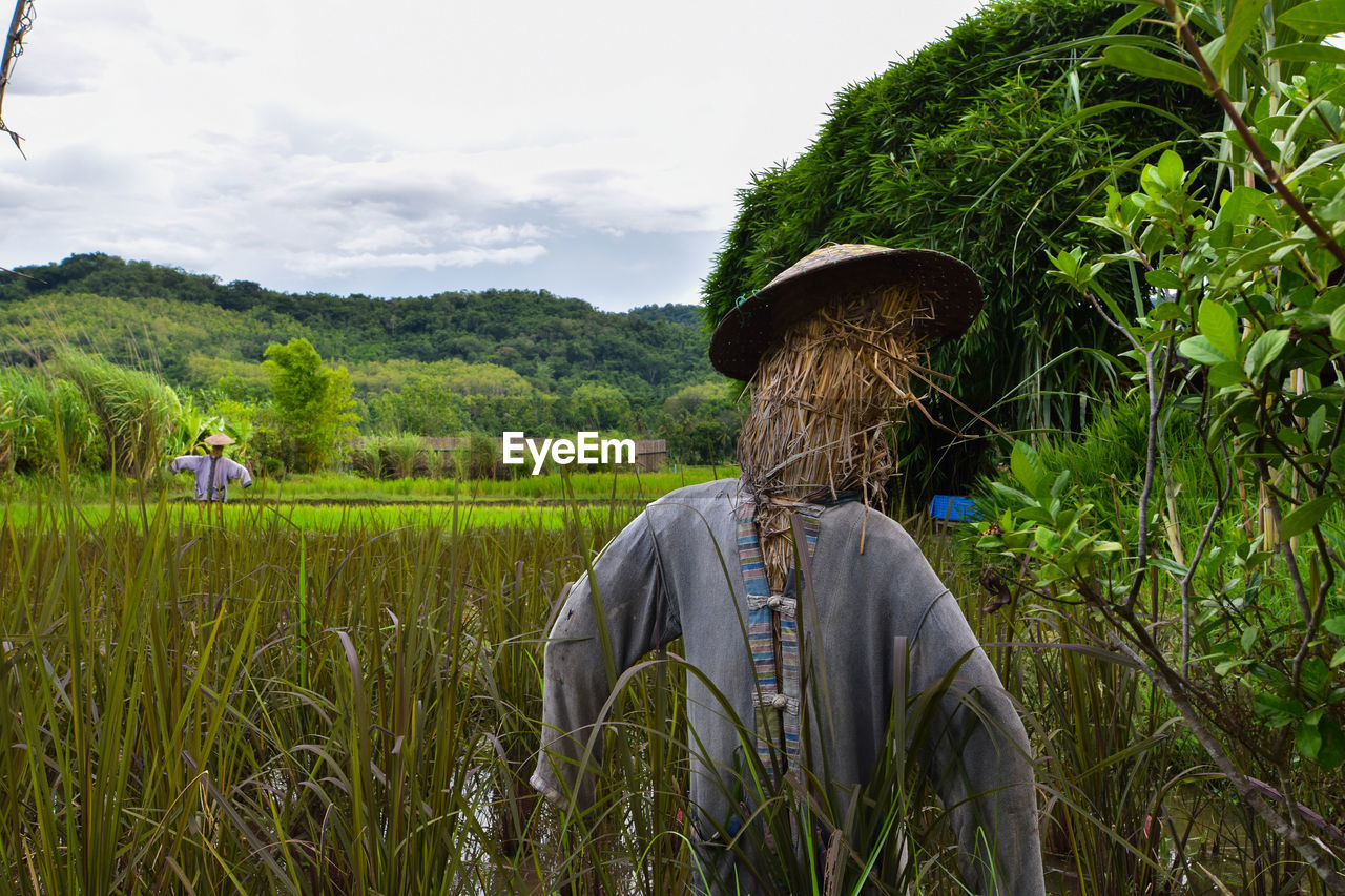 Rear view of man in farm