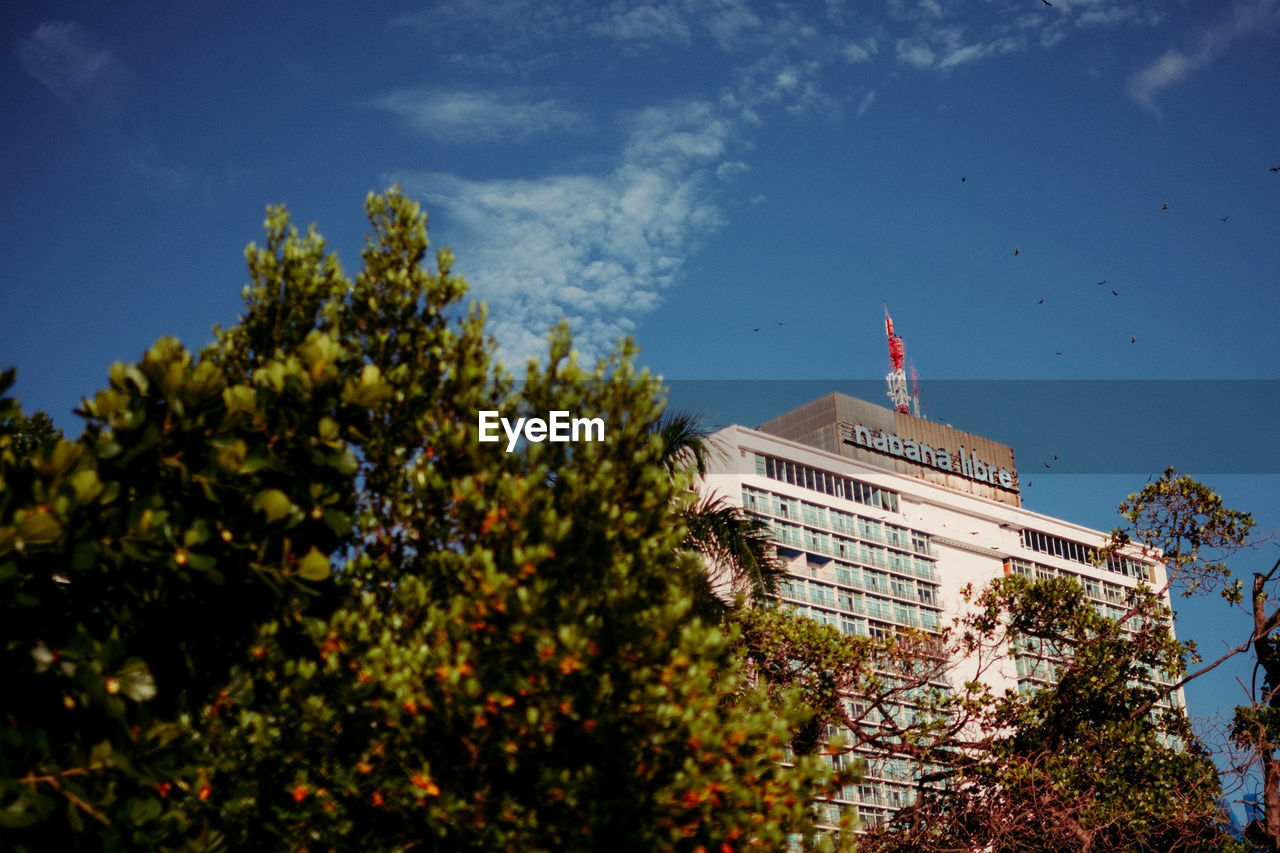 LOW ANGLE VIEW OF TREES AND BUILDING AGAINST SKY