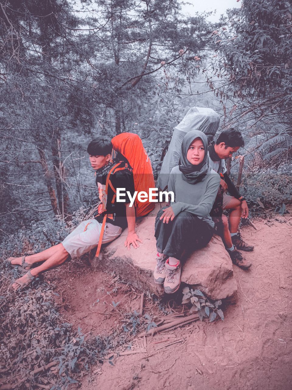 PEOPLE SITTING ON STREET IN FOREST