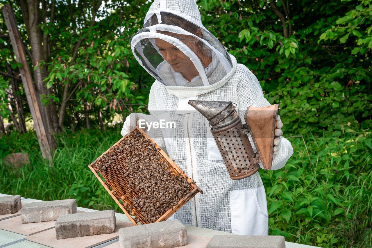 Midsection of man working on plants