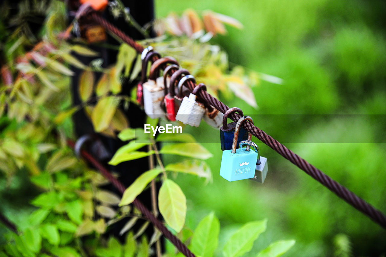 Close-up of padlocks on wire fence