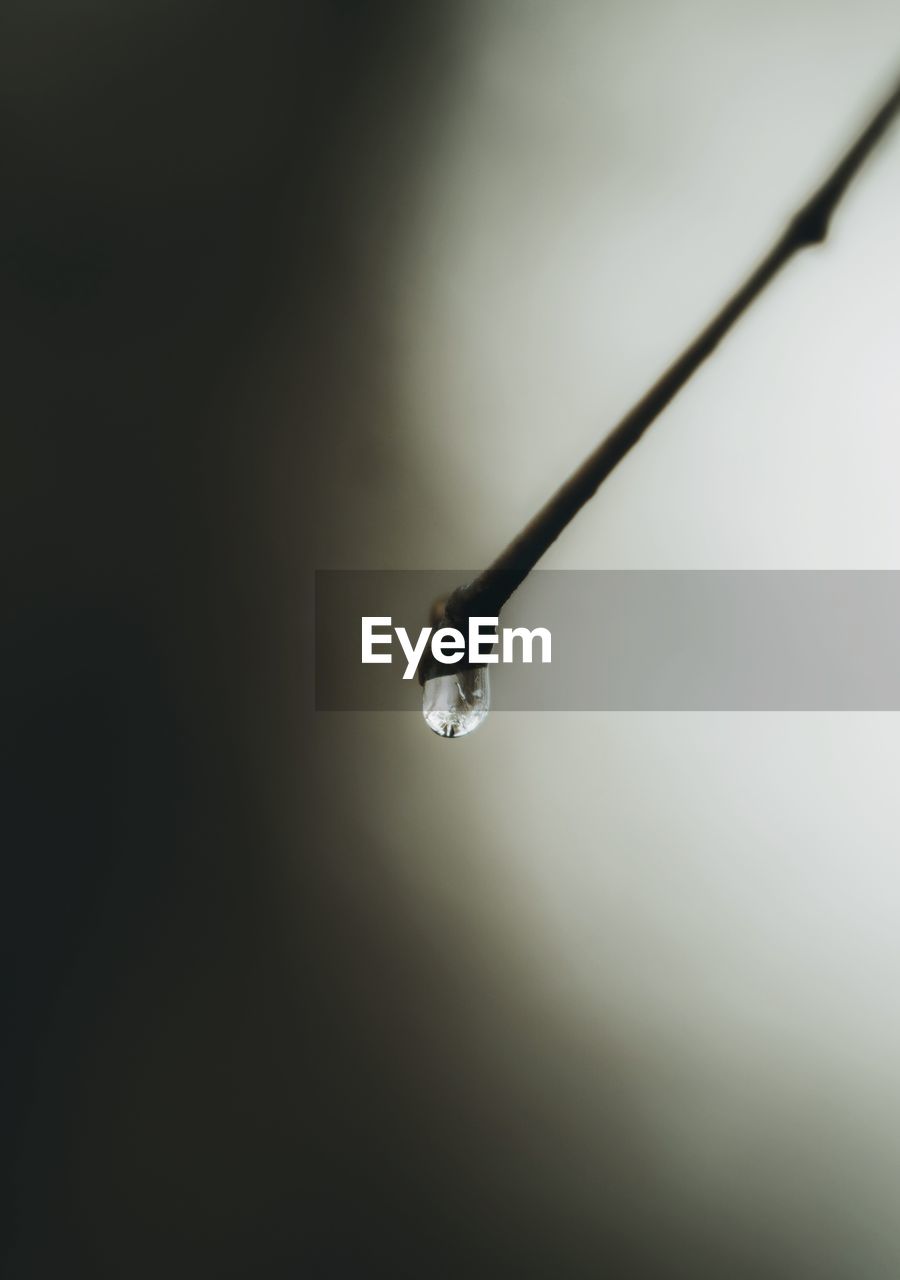 CLOSE-UP OF ILLUMINATED LIGHT BULB AGAINST WATER