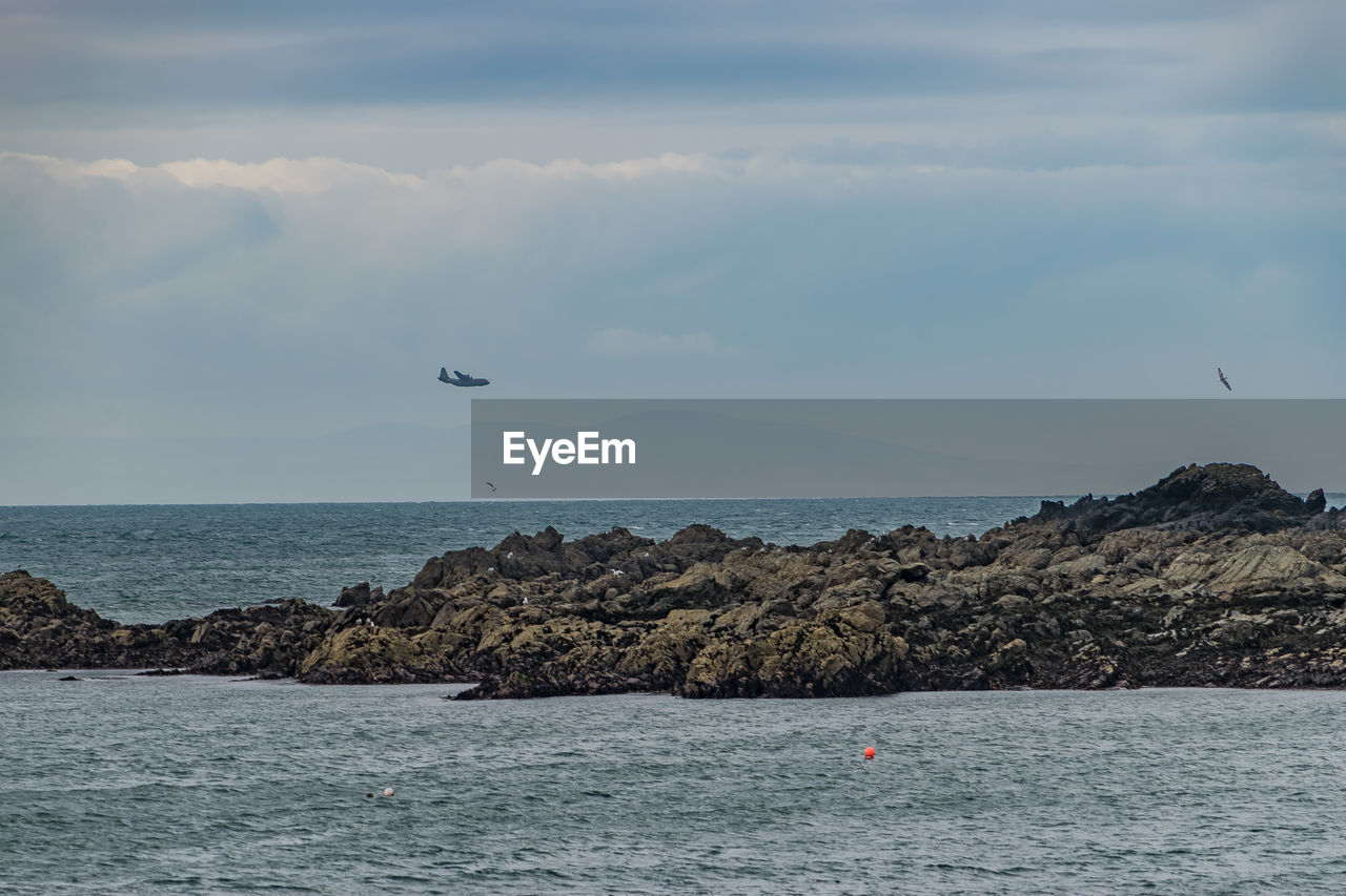 SEAGULL FLYING BY SEA AGAINST SKY