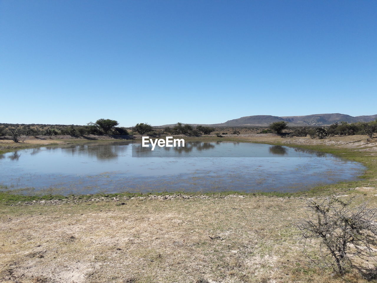 Scenic view of lake against clear blue sky