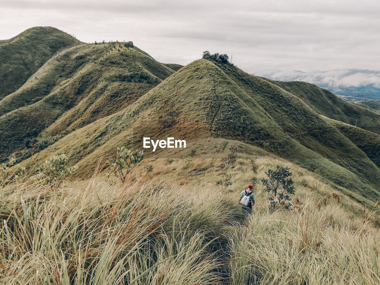 REAR VIEW OF MAN WALKING ON MOUNTAIN AGAINST SKY