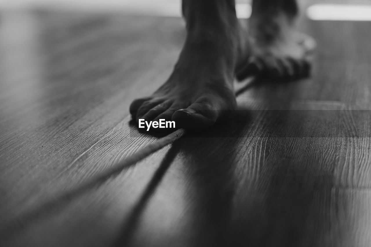 Low section of person walking on rope over floor