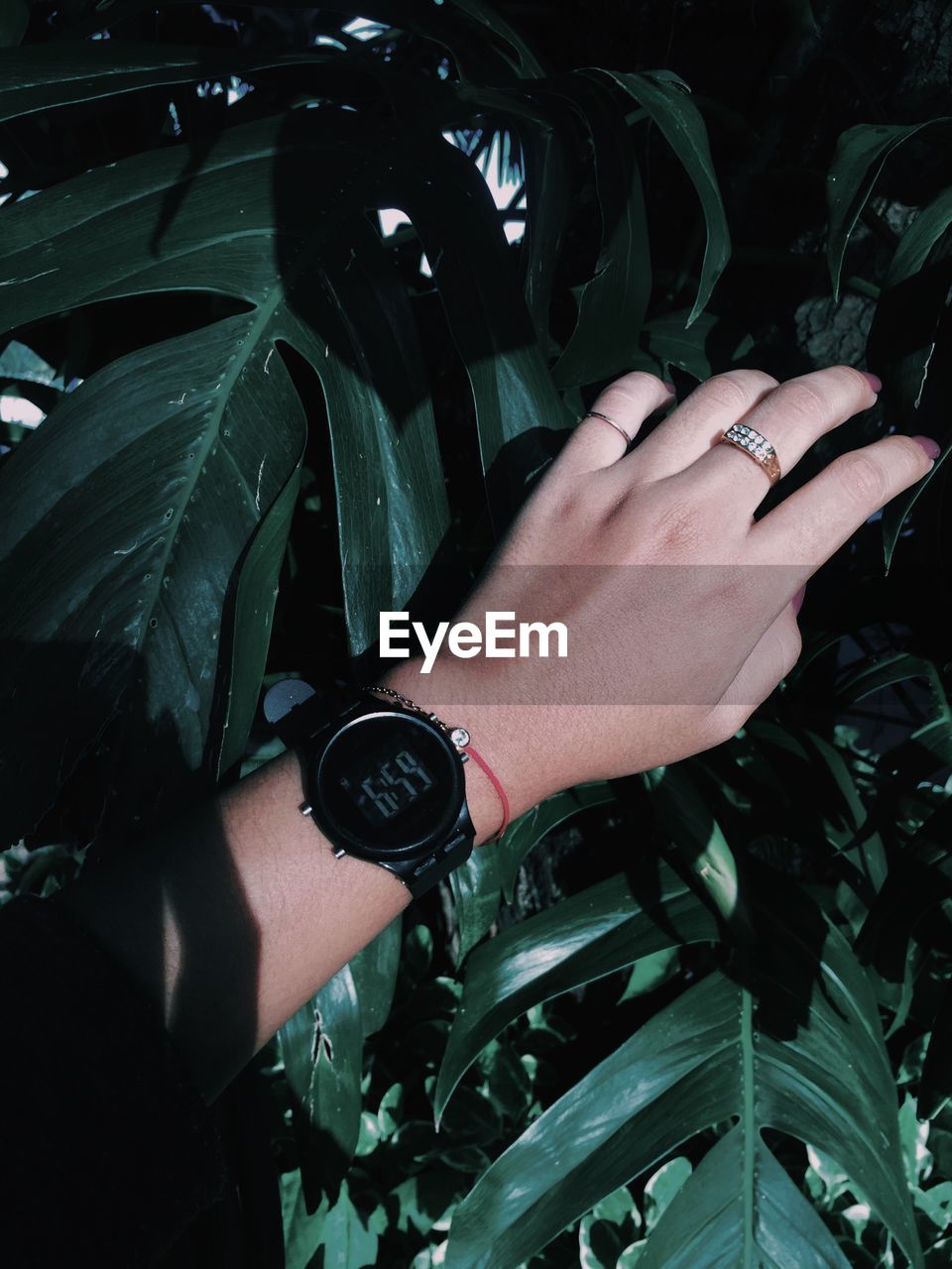 Cropped hand of woman against plants