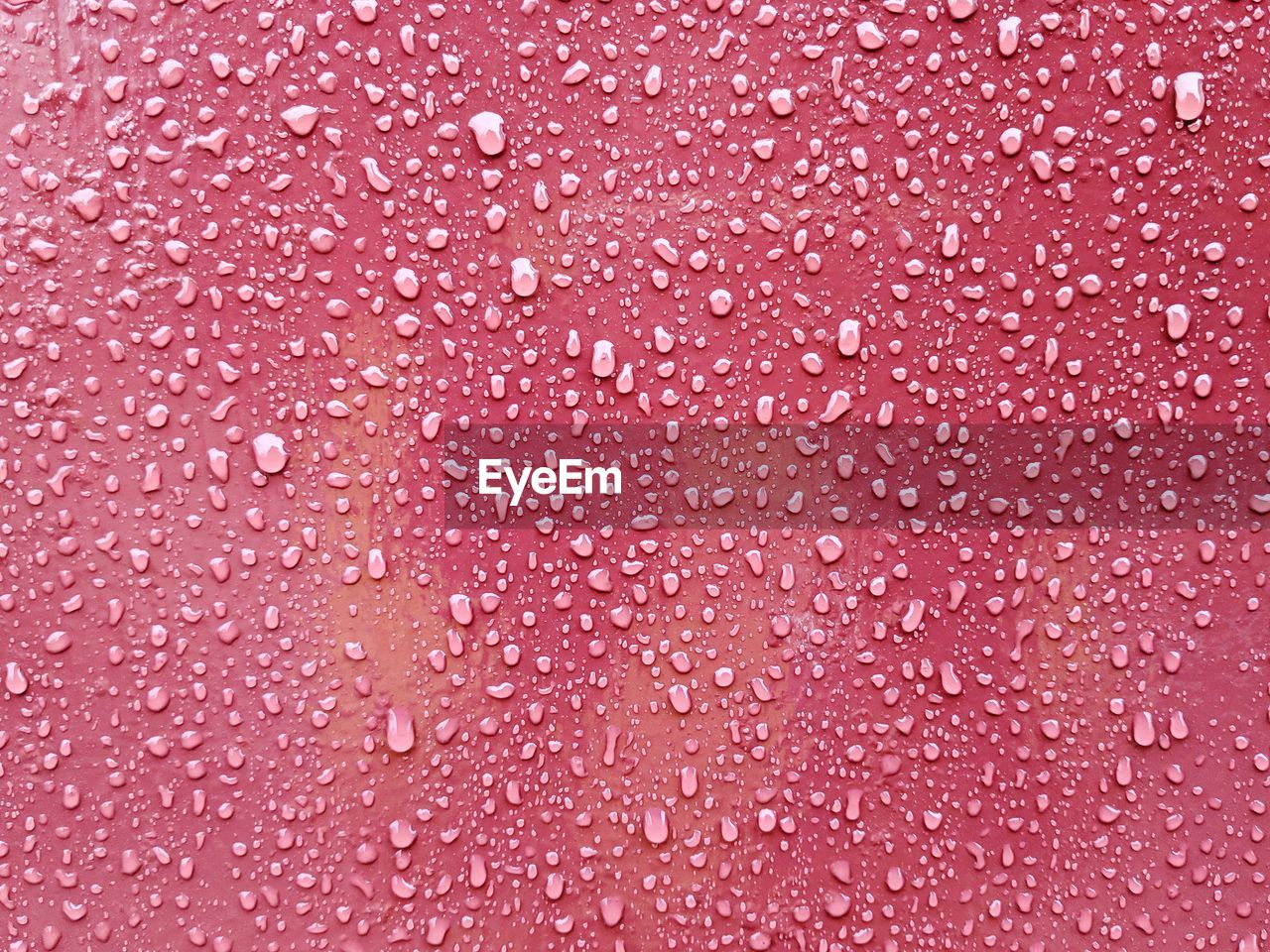 Full frame shot of water drops on pink wall