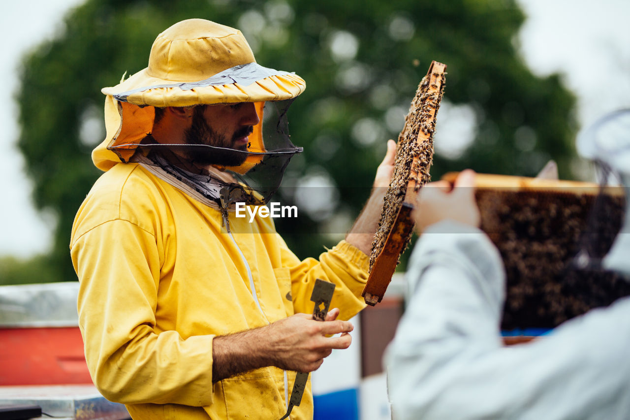 Beekeeper working over beehive at farm