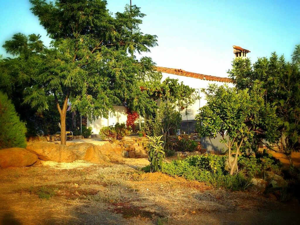 TREES AND PLANTS GROWING ON LAND