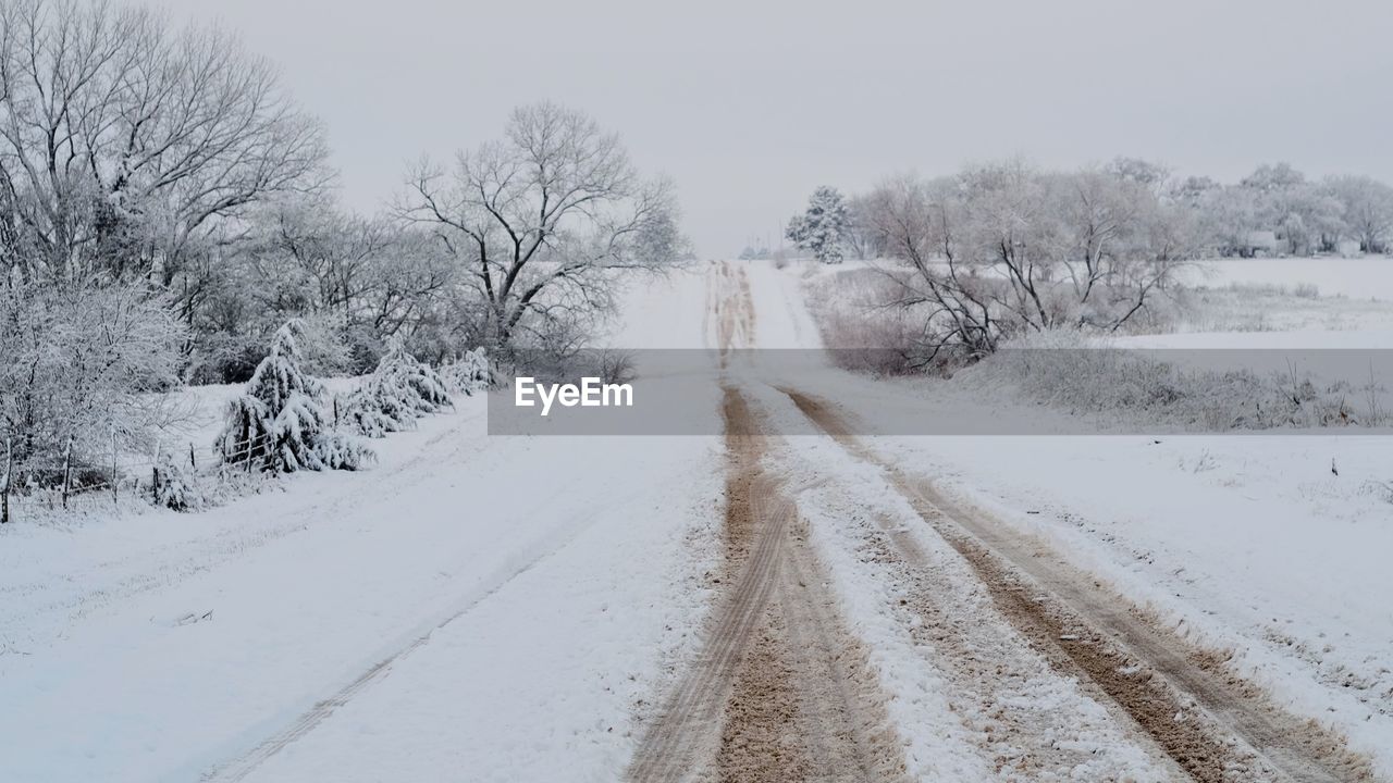 Bare trees on snow covered landscape against sky