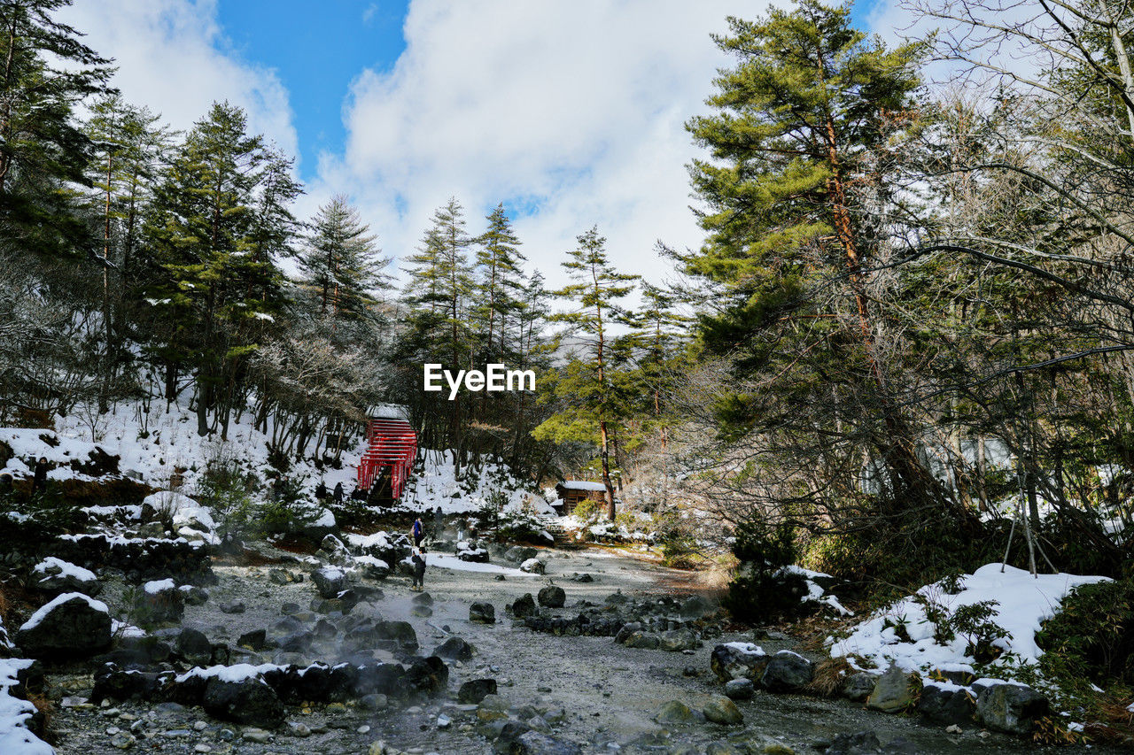 tree, wilderness, plant, nature, snow, sky, cloud, beauty in nature, forest, water, winter, land, environment, stream, river, scenics - nature, day, autumn, pinaceae, coniferous tree, mountain, tranquility, landscape, non-urban scene, outdoors, no people, pine tree, rock, cold temperature, trail, travel, tranquil scene, leisure activity, pine woodland