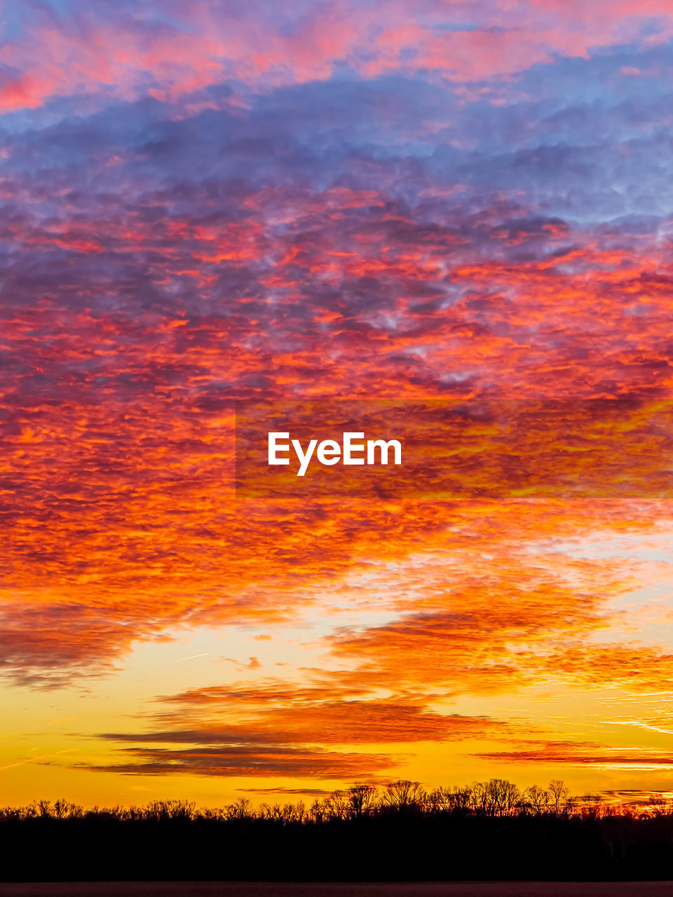 sky, sunset, cloud, beauty in nature, afterglow, red sky at morning, orange color, scenics - nature, tranquility, tranquil scene, nature, dramatic sky, environment, landscape, no people, idyllic, multi colored, plant, silhouette, horizon, land, yellow, tree, outdoors, non-urban scene, dusk, cloudscape, vibrant color, sunlight, red, awe, atmospheric mood, romantic sky, moody sky, rural scene, sun